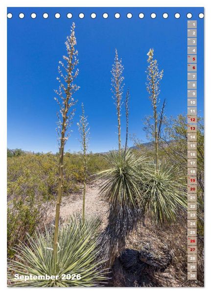 Produktbild: SAGUARO NATIONAL PARK W&uuml;stenimpressionen aus Arizona (Tischkalender 2026 DIN A5 hoch), CALVENDO Monatskalender