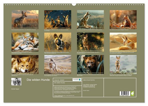 Produktbild: Die wilden Hunde (Wandkalender 2026 DIN A2 quer), CALVENDO Monatskalender
