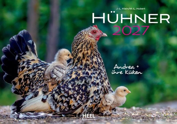 Produktbild: H&uuml;hner Kalender 2027
