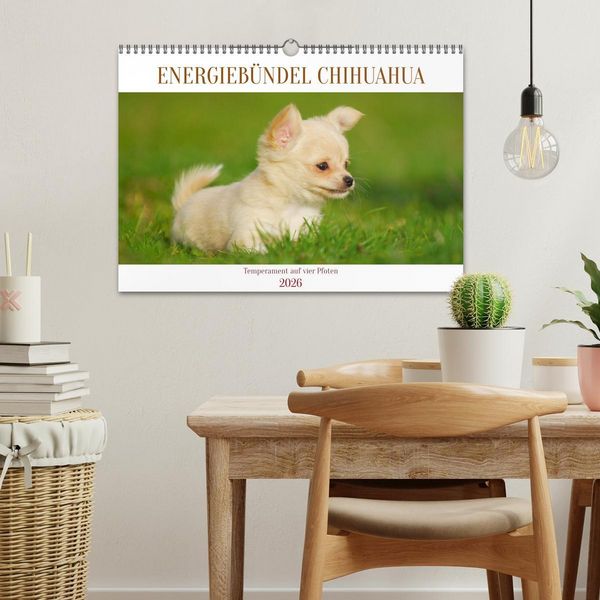 Produktbild: Enegieb&uuml;ndel Chihuahua - Temperament auf vier Pfoten (Wandkalender 2026 DIN A3 quer), CALVENDO Monatskalender