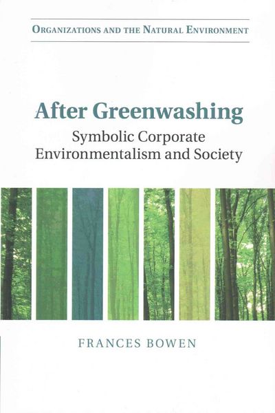 After Greenwashing, Taschenbuch von Frances Bowen, Cambridge Academic, 9781107421738