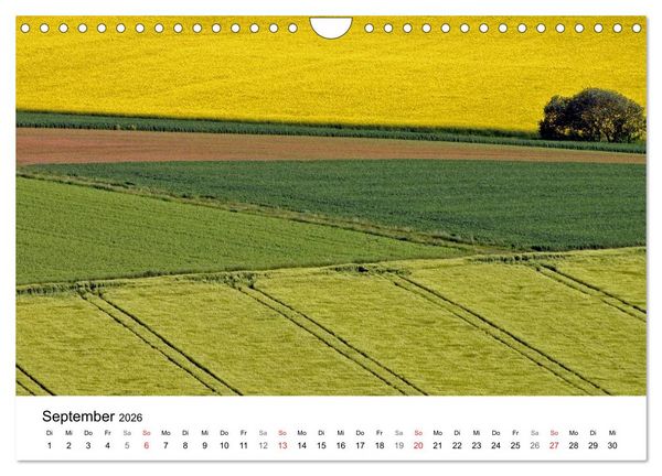 Produktbild: Rapsodie (Wandkalender 2026 DIN A4 quer), CALVENDO Monatskalender