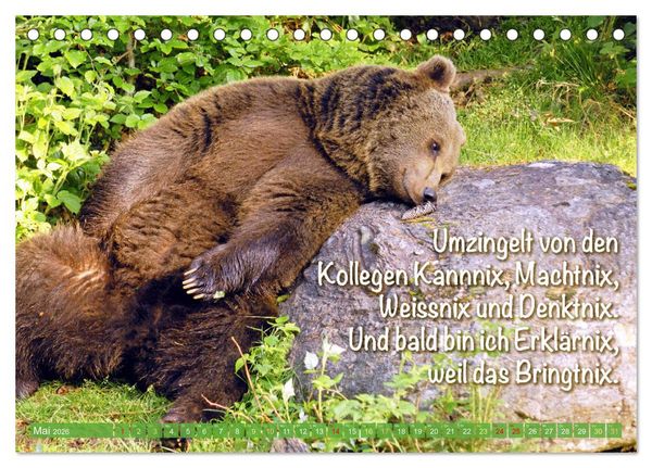 Produktbild: Spa&szlig; mit B&auml;ren: Edition lustige Tiere (Tischkalender 2026 DIN A5 quer), CALVENDO Monatskalender