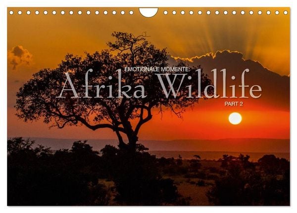 Produktbild: Emotionale Momente: Afrika Wildlife Part 2 / CH-Version (Wandkalender 2026 DIN A4 quer), CALVENDO Monatskalender