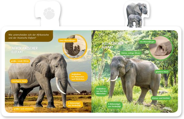 Produktbild: Der Elefant