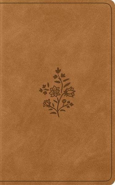 Produktbild: ESV Vest Pocket New Testament with Psalms and Proverbs, Red Letter