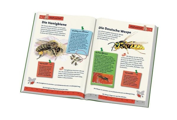 Produktbild: Tier- und Pflanzenf&uuml;hrer. Kindernaturf&uuml;hrer