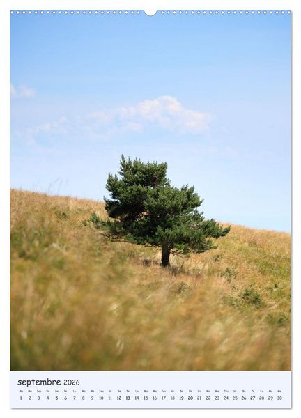 Produktbild: Arbres solitaires (Calendrier mural 2026 DIN A2 horizontal) calendrier de bureau
