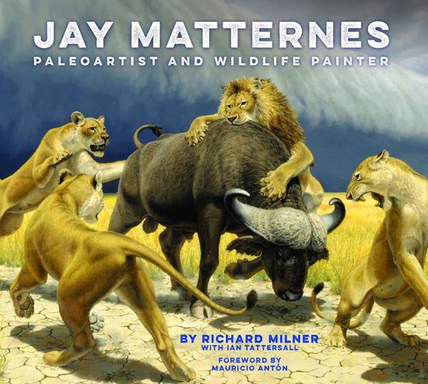 Produktbild: Jay Matternes