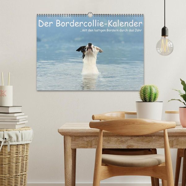 Produktbild: Der Bordercollie-Kalender (Wandkalender 2026 DIN A3 quer), CALVENDO Monatskalender