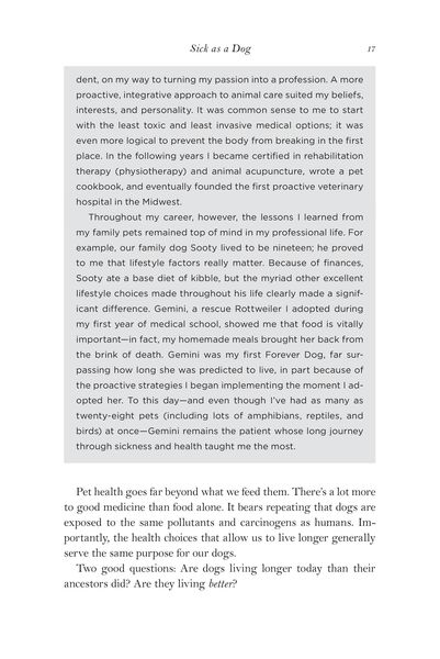 Produktbild: The Forever Dog
