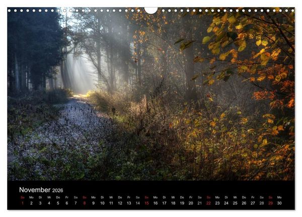 Produktbild: Waldkalender (Wandkalender 2026 DIN A3 quer), CALVENDO Monatskalender