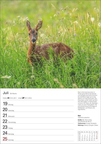 Produktbild: Heimische Tiere Wochenplaner 2027 - 53 faszinierende Fotografien