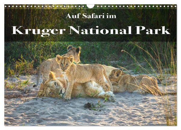 Auf Safari im Kruger National Park (Wandkalender 2025 DIN A3 quer), CALVENDO Monatskalender