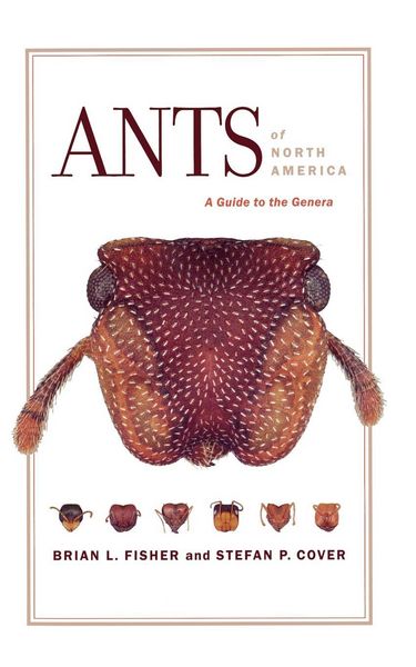 Produktbild: Ants of North America