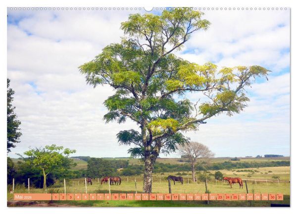Produktbild: Uruguay - Bienvenido al R&iacute;o de la Plata (hochwertiger Premium Wandkalender 2026 DIN A2 quer), Kunstdruck in Hochglanz