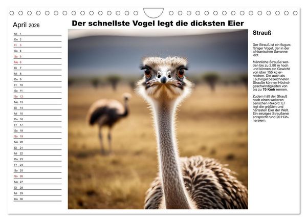Produktbild: Tierische Rekorde (Wandkalender 2026 DIN A4 quer), CALVENDO Monatskalender