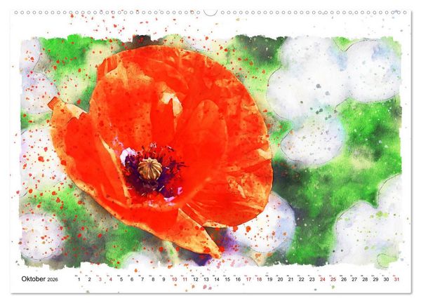 Produktbild: Mohnbl&uuml;ten in Aquarell (hochwertiger Premium Wandkalender 2026 DIN A2 quer), Kunstdruck in Hochglanz