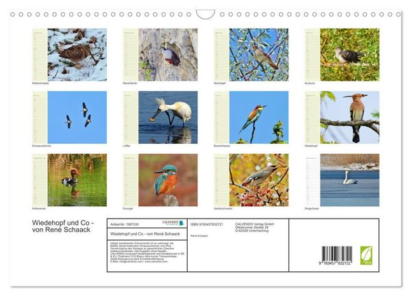 Produktbild: Wiedehopf und Co - von Ren&eacute; Schaack (Wandkalender 2026 DIN A3 quer), CALVENDO Monatskalender