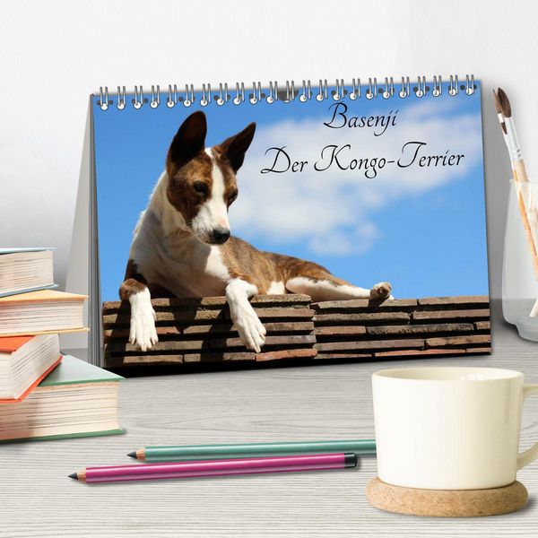 Produktbild: Basenji, der Kongo-Terrier (Tischkalender 2026 DIN A5 quer), CALVENDO Monatskalender
