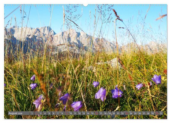 Produktbild: Flora der Alpen (hochwertiger Premium Wandkalender 2026 DIN A2 quer), Kunstdruck in Hochglanz