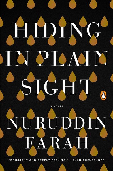 Produktbild: Hiding in Plain Sight