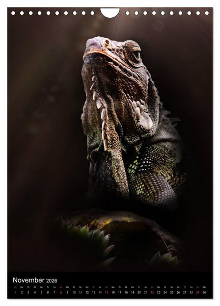 Produktbild: Auge in Auge mit coolen Typen - REPTILIEN (Wandkalender 2026 DIN A4 hoch), CALVENDO Monatskalender