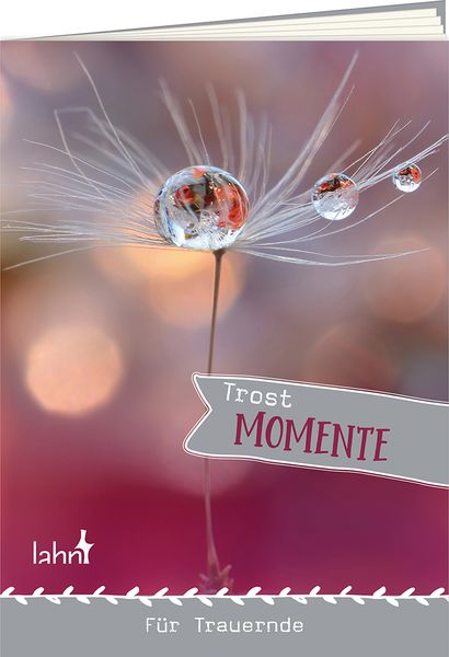 Trostmomente für Trauernde, Geheftet von Ruth Rau, Lahn-Verlag, 978-3-7840-7910-3