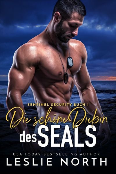 Produktbild: Die sch&ouml;ne Diebin des SEALs (Sentinel Security, #1)