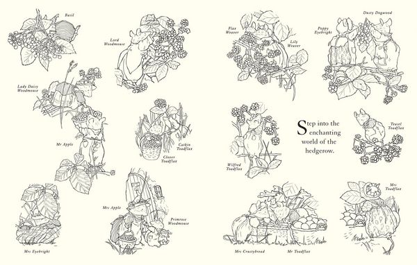 Produktbild: BRAMBLY HEDGE_BRAMBLY HEDGE PB