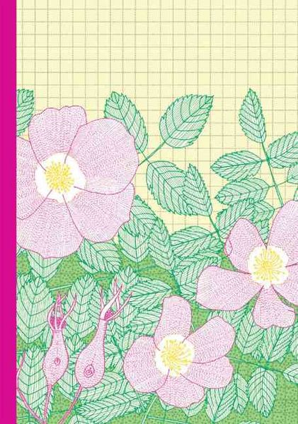 Produktbild: Bliss, J: Native Herbs Journal