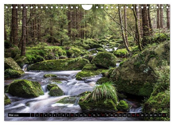 Produktbild: Der Harz einfach magisch (Wandkalender 2026 DIN A4 quer), CALVENDO Monatskalender