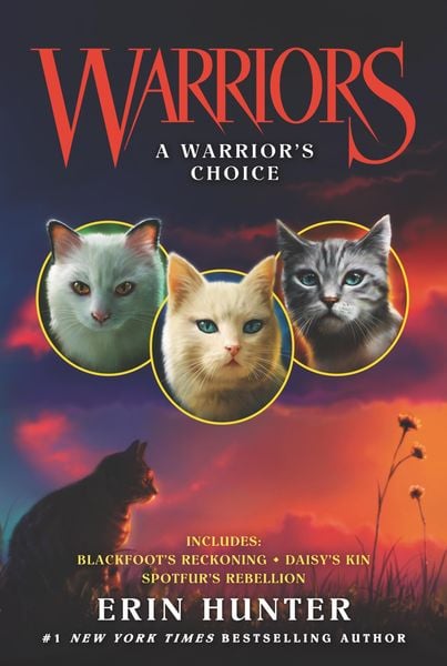 Produktbild: Warriors: A Warrior's Choice