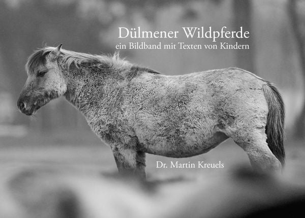 Produktbild: D&uuml;lmener Wildpferde