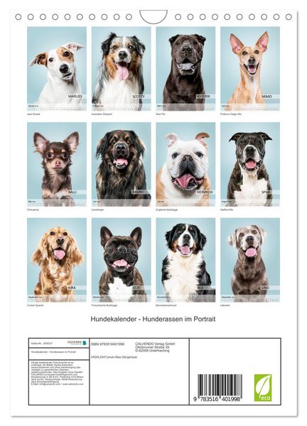 Produktbild: Hundekalender - Hunderassen im Portrait (Wandkalender 2026 DIN A4 hoch), CALVENDO Monatskalender