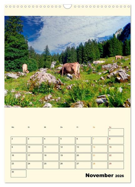 Produktbild: Gl&uuml;ckliche Bergk&uuml;he (Wandkalender 2026 DIN A3 hoch), CALVENDO Monatskalender