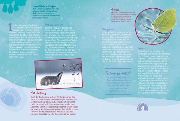 Produktbild: Mein WAS IST WAS Adventskalenderbuch 3
