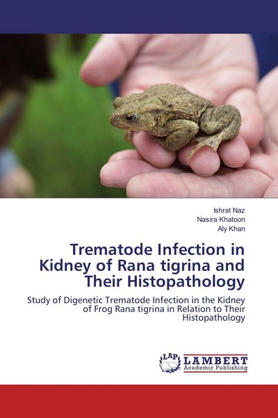 Produktbild: Trematode Infection in Kidney of Rana tigrina and Their Histopathology