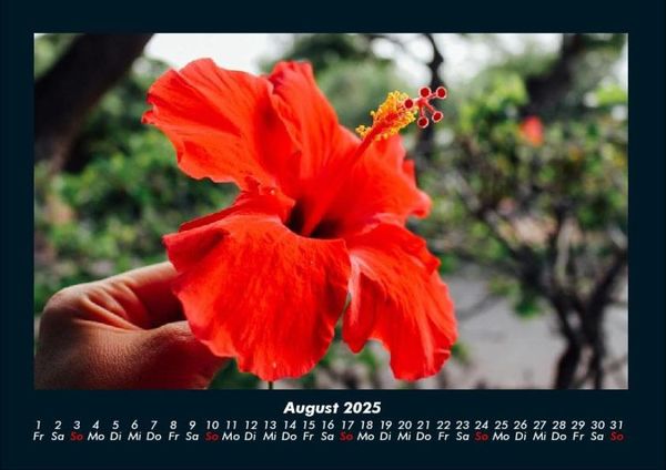 Produktbild: Blumenzauber 2025 Fotokalender DIN A4