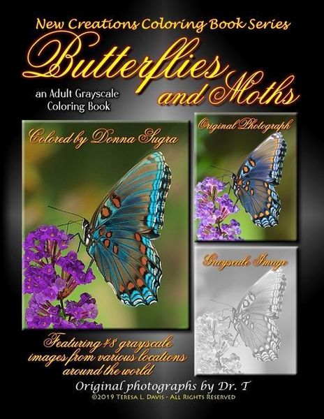 Produktbild: New Creations Coloring Book Series: Butterflies and Moths