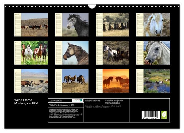 Produktbild: Wilde Pferde. Mustangs in USA (Wandkalender 2026 DIN A3 quer), CALVENDO Monatskalender