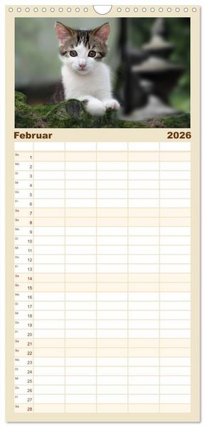 Produktbild: Familienplaner 2026 - Katzenbabys beobachtet mit 5 Spalten (Wandkalender, 21 x 45 cm) CALVENDO
