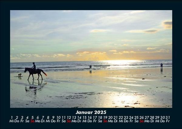 Produktbild: Pferde Kalender 2025 Fotokalender DIN A5
