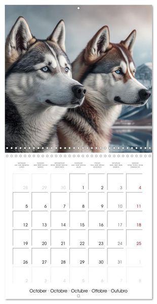 Produktbild: Des huskies adorables (Calendrier mural carr&eacute; 2026 30x30 cm) Calendrier double avec une page pour vos prises de notes