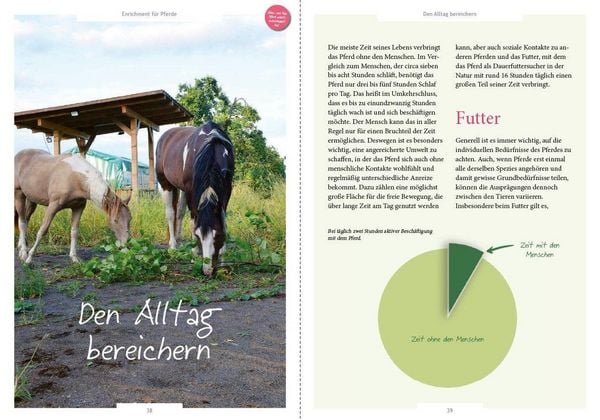Produktbild: Enrichment f&uuml;r Pferde