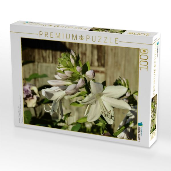 Produktbild: CALVENDO Puzzle Dufthosta 'Fragrant Bouquet' | 1000 Teile Lege-Gr&ouml;&szlig;e 64x48cm Foto-Puzzle f&uuml;r gl&uuml;ckliche Stunden