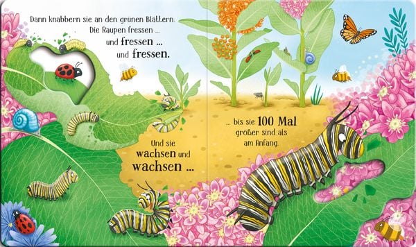 Produktbild: Schau mal, wie ich wachse! Von der Raupe zum Schmetterling