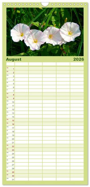 Produktbild: Familienplaner 2026 - Wildblumen 2026 mit 5 Spalten (Wandkalender, 21 x 45 cm) CALVENDO