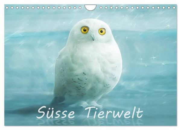 Produktbild: S&uuml;sse Tierwelt / CH-Version / Geburtstagskalender (Wandkalender 2026 DIN A4 quer), CALVENDO Monatskalender