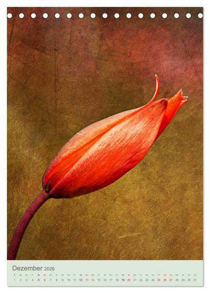 Produktbild: Flora (Tischkalender 2026 DIN A5 hoch), CALVENDO Monatskalender